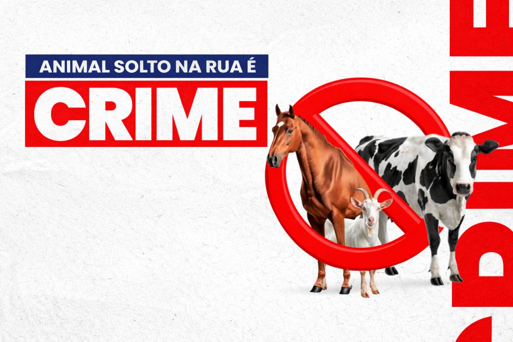 Prefeitura reforça cumprimento da Lei Municipal nº 390/2025 e alerta sobre animais soltos em vias públicas.